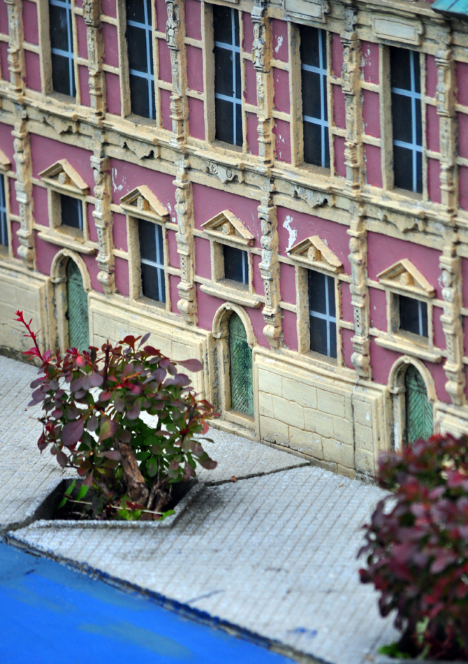DSC_2191