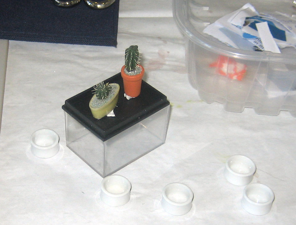 15_Miniaturtage2014 (35)